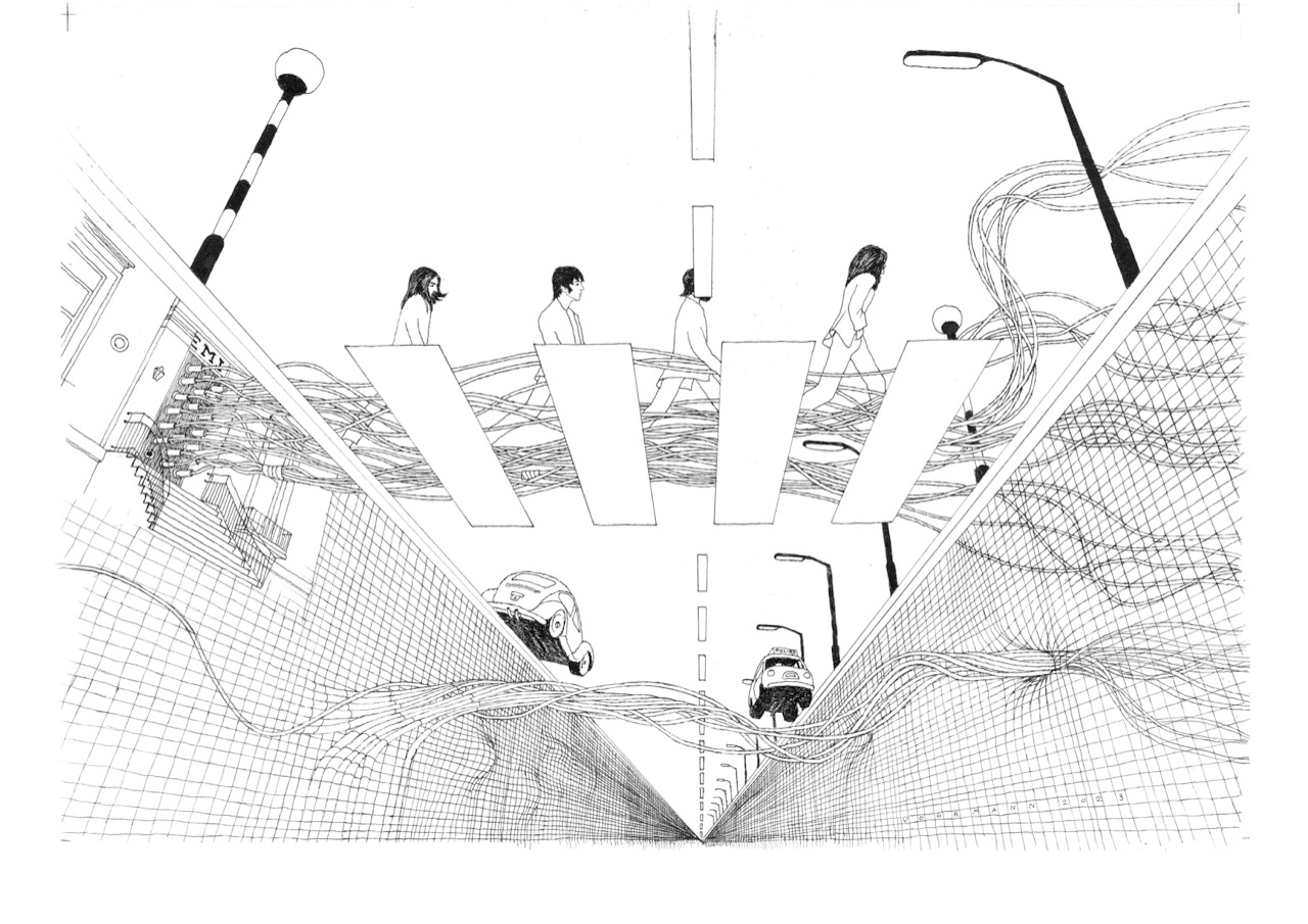 AP82 zebra from down under